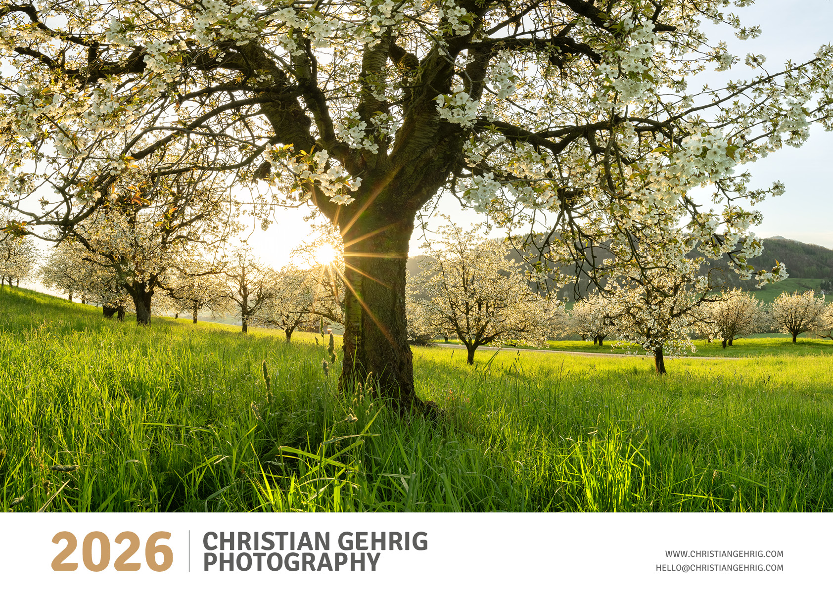 Grusskarten Schweizer Landschaften 2024